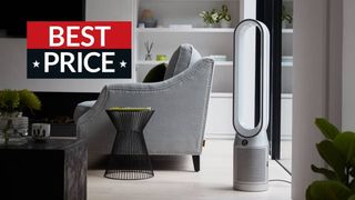 Dyson cuts £200 off fans and purifiers to help shoppers beat the heatwave
