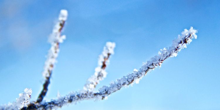 Met Office Weather forecast snow UK