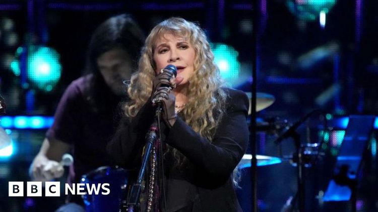 Stevie Nicks