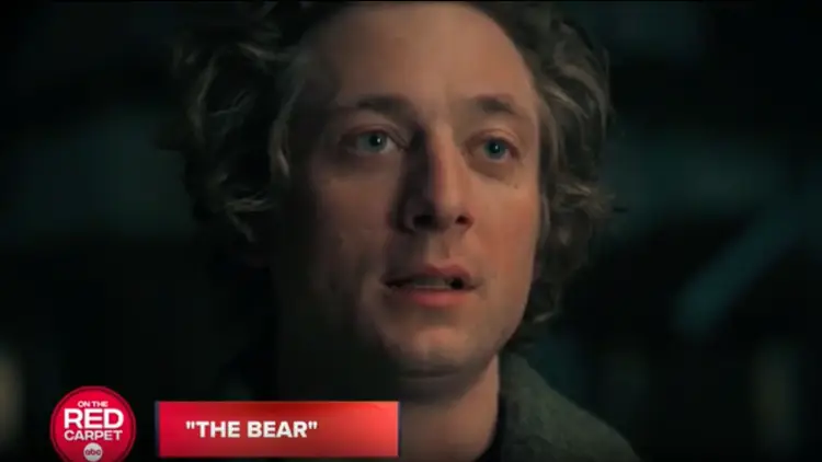 The Bear