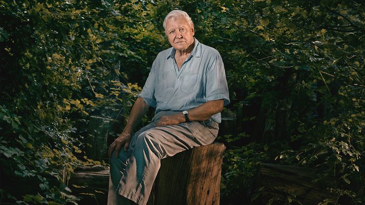 David Attenborough