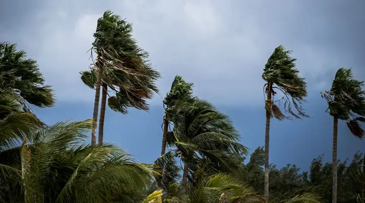 Florida Hurricane