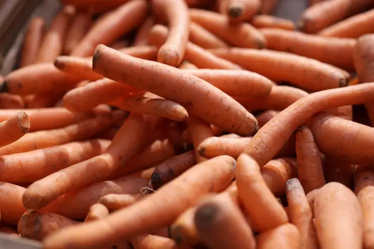 Contaminated carrots