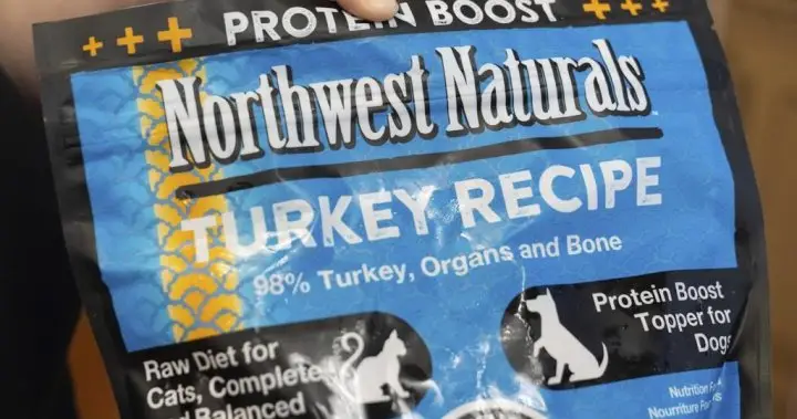 Cat food recall bird flu